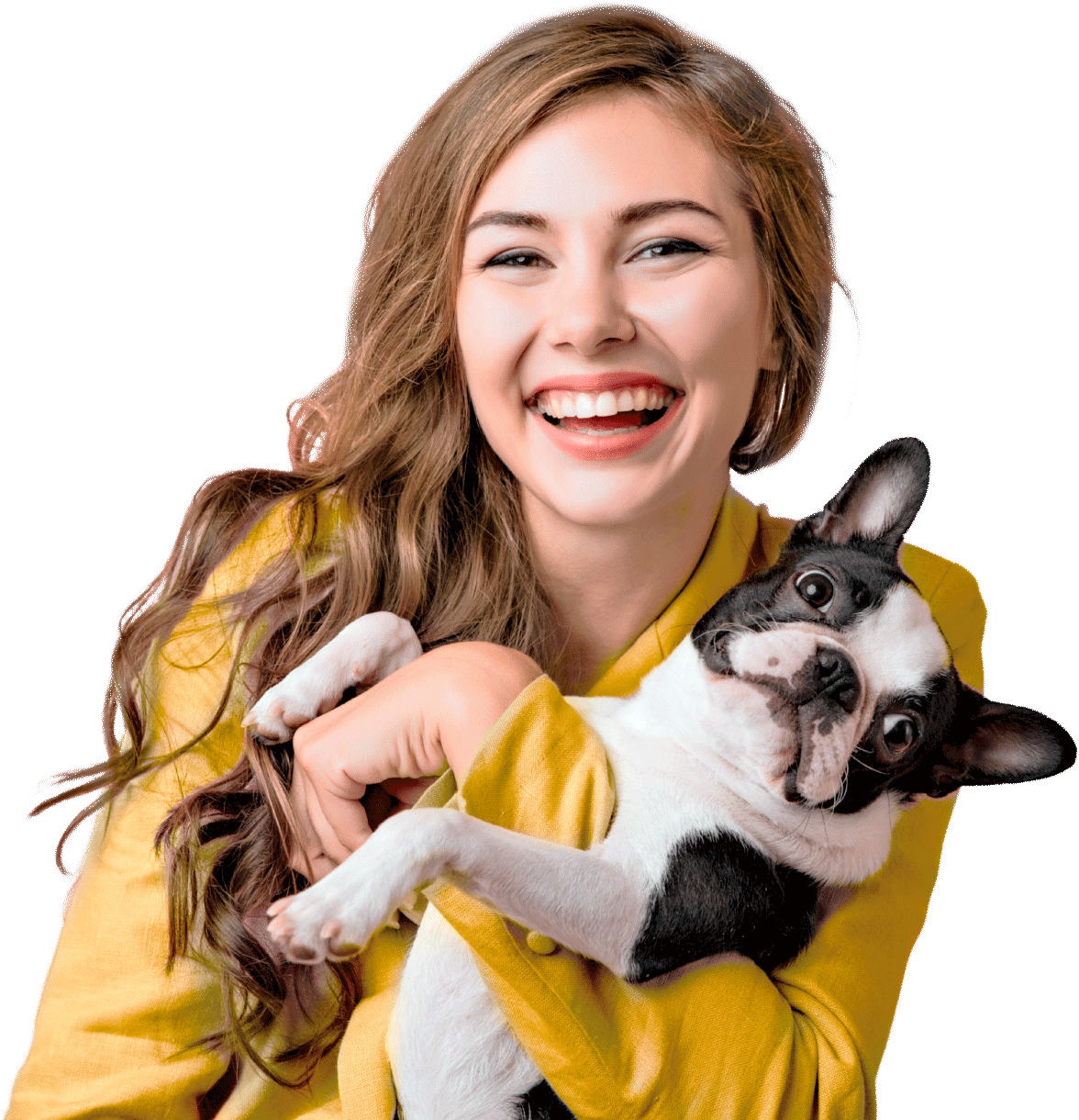 Veterinary - Veterinary X Webflow Template