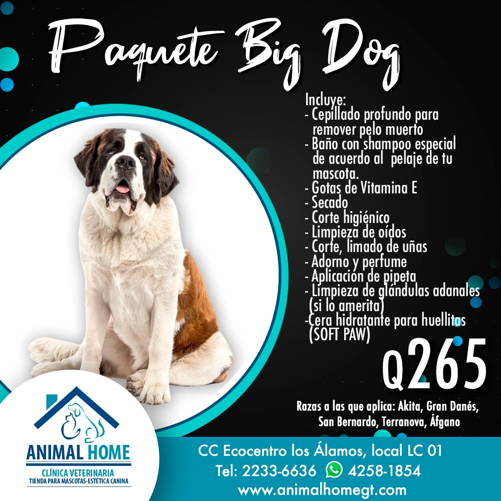Big Dog Grooming Package
